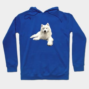 Samoyed Looking Good! Hoodie